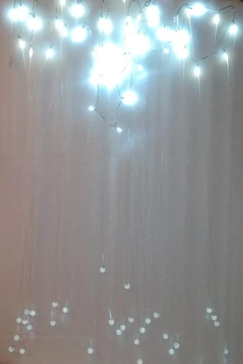 Light Creeper 5 Meter with Converter with Crystal Ball
